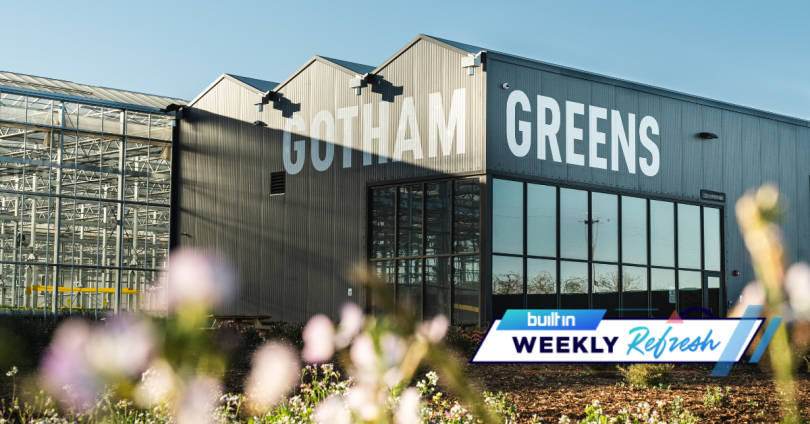 Indoor Ag Startup Gotham Greens Raises $87M for Expansion