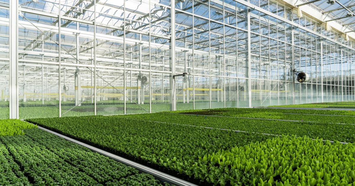 Gotham Greens Raises $310 Million in Fresh Funding